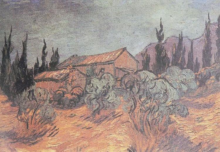 Vincent Van Gogh Huts surrounded by olive trees and cypresses oil painting image